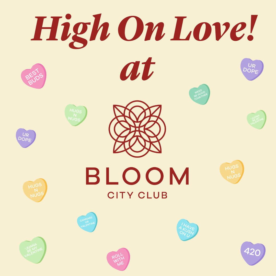 High On Love - Deals you'll love