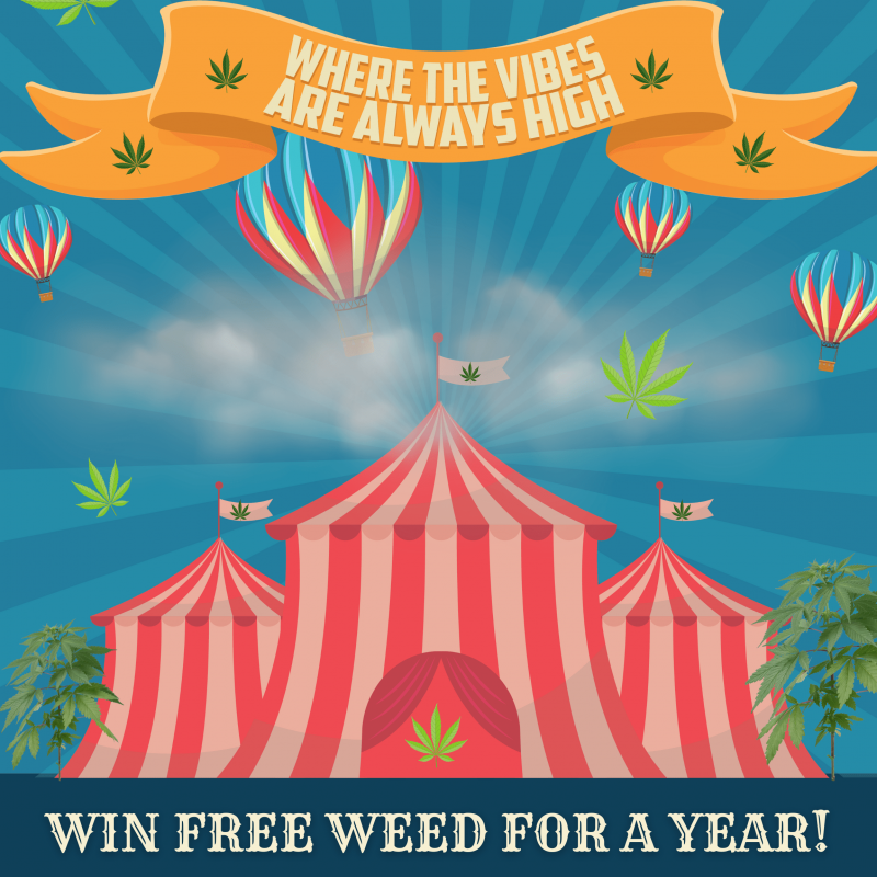 420 cannabis carnival deals free weed